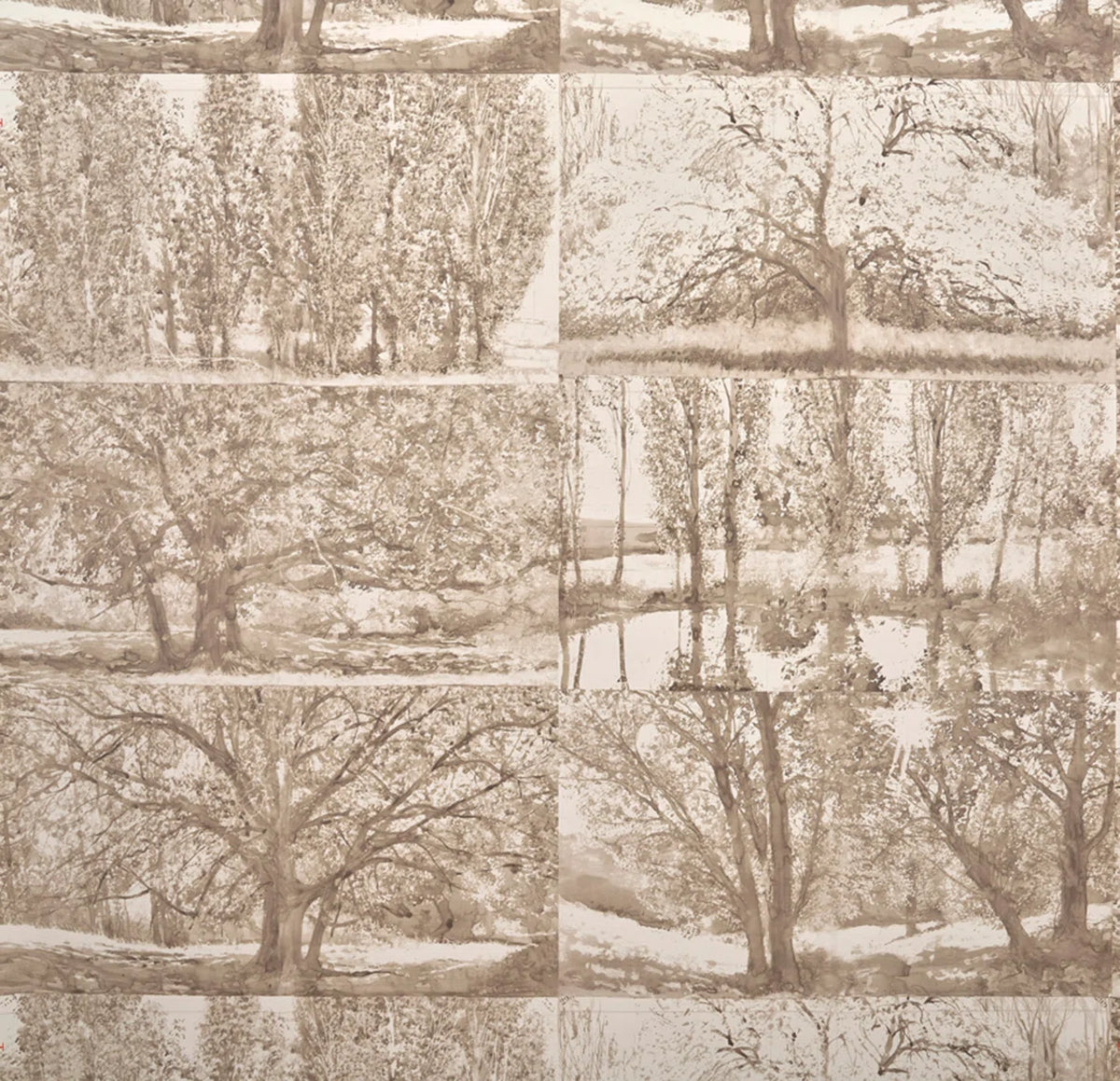 Arbres et sous bois wallpaper in BOULEAU