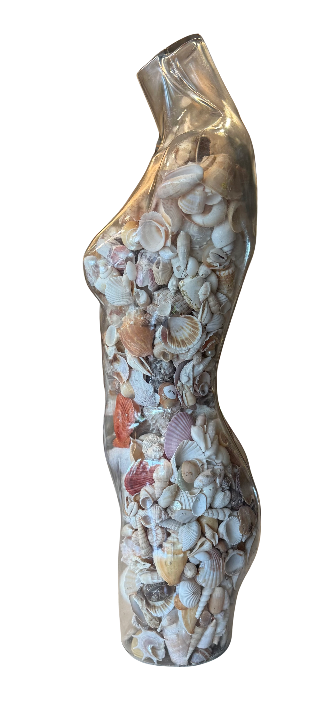 shell mannequin