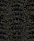 Crocodile Wallpaper