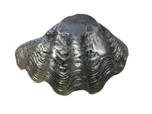 Load image into Gallery viewer, silver plated clamshell