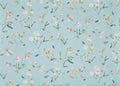 Les pois de senteur wallpaper in Ciel