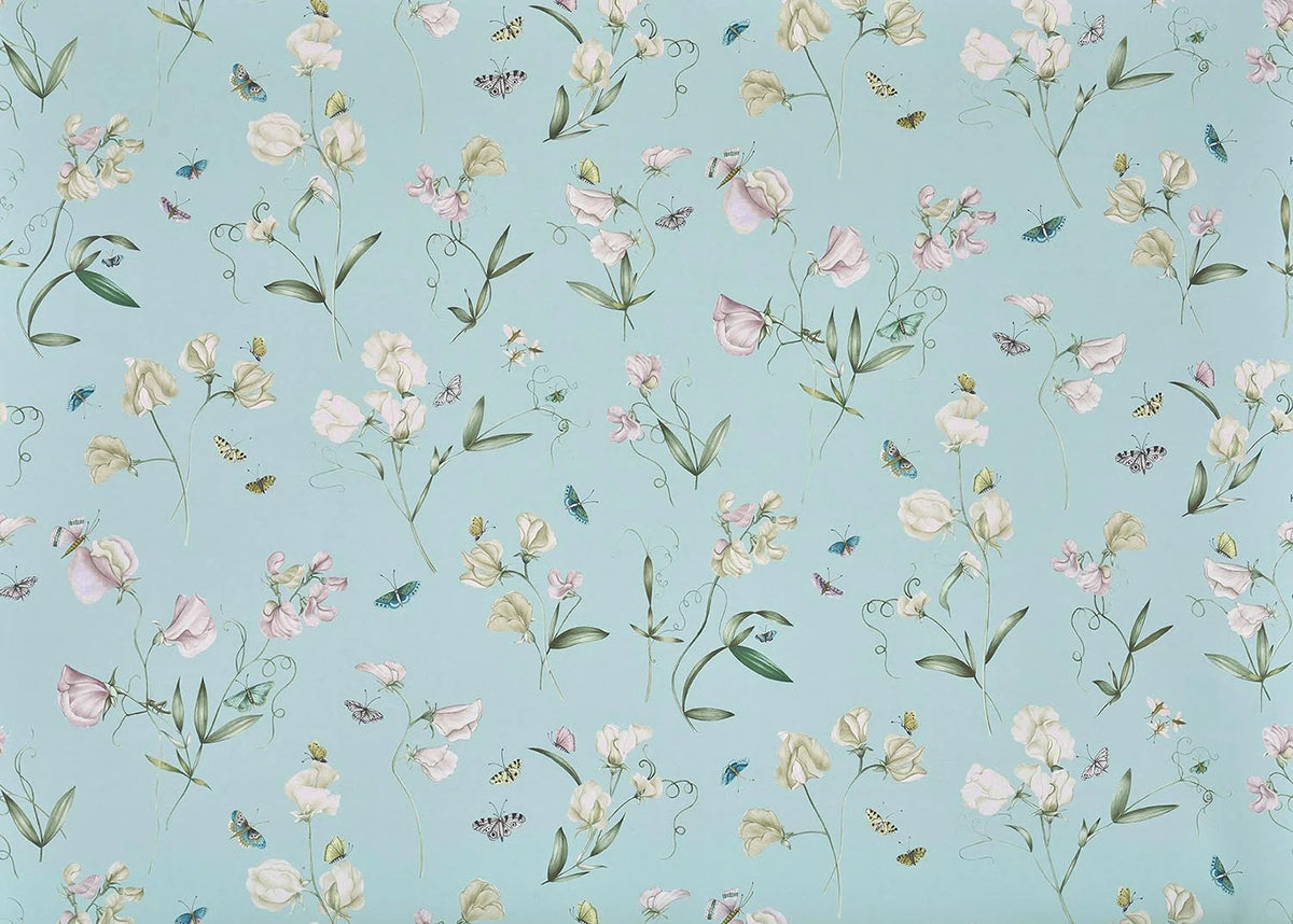 Les pois de senteur wallpaper in Ciel