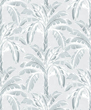 Load image into Gallery viewer, Havana Banana Wallpaper