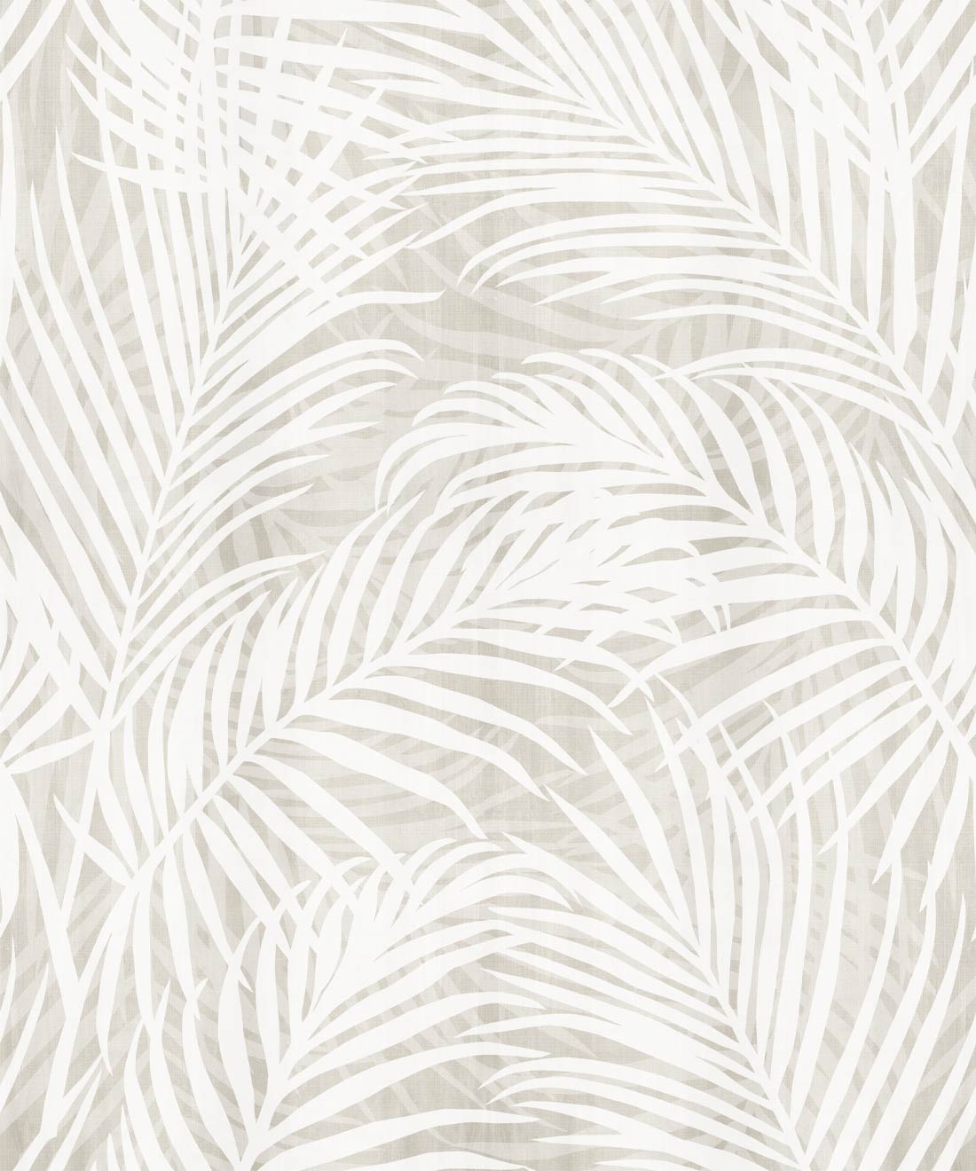Laguna Palms Wallpaper • Plaster • Swatch