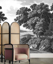 Load image into Gallery viewer, English Landscape Mural • Black &amp; White • Insitu