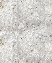 Load image into Gallery viewer, Rock Marbling Wallpaper • Natural Stone • Grey • Swatch