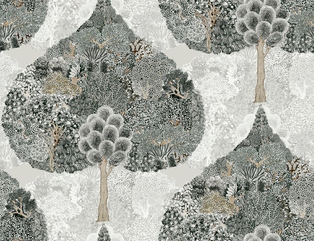 Enchanted Forest