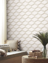 Load image into Gallery viewer, Palisades Paperweave