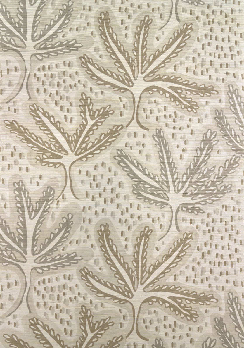 Bonsai wallpaper in LAIT D'AMANDE