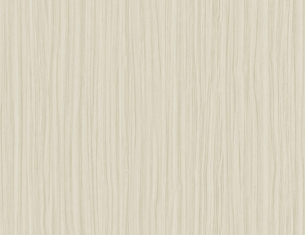 SALO 27 WALLPAPER