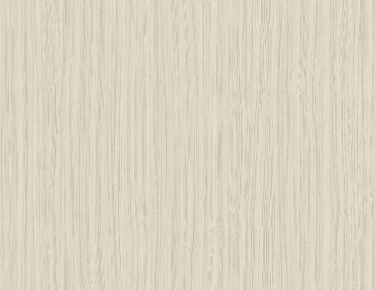SALO 27 WALLPAPER