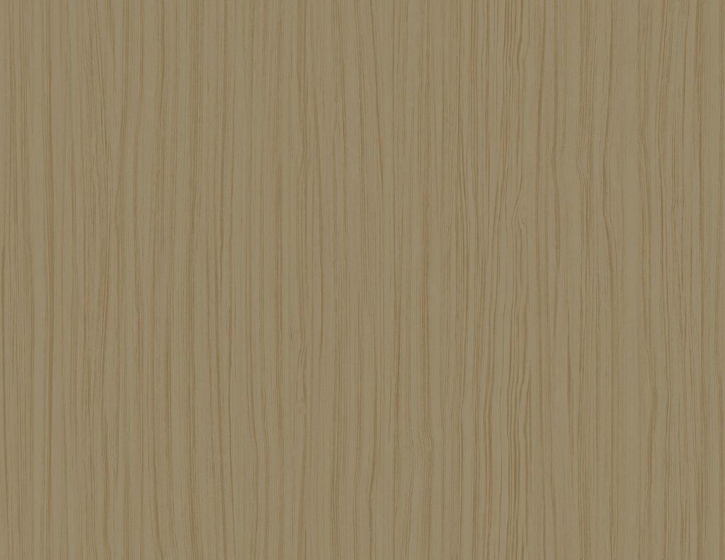 SALO 27 WALLPAPER