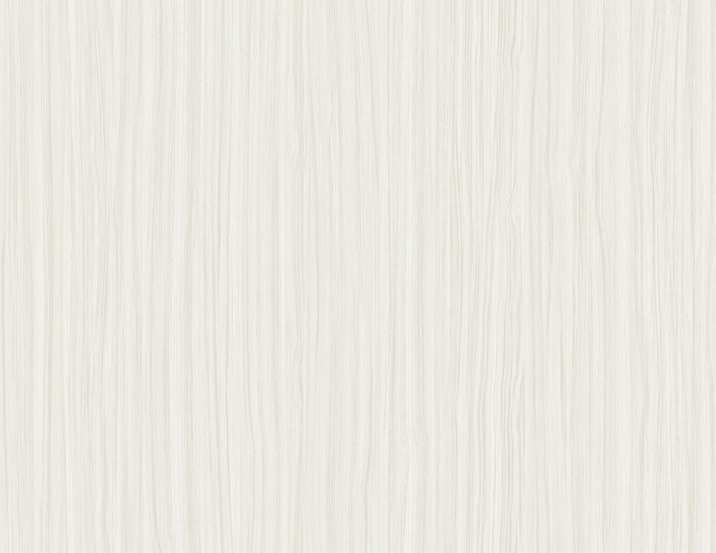SALO 27 WALLPAPER