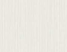 Load image into Gallery viewer, SALO 27 WALLPAPER