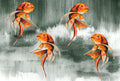 KOI FISH ART