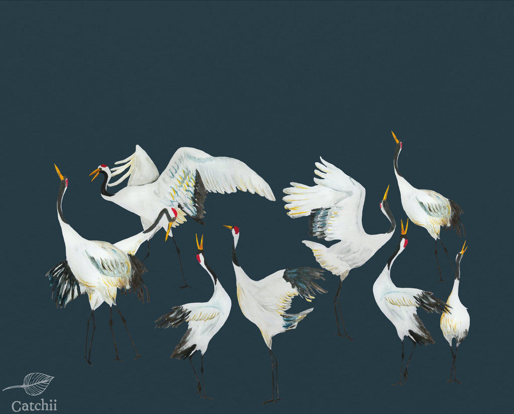 JAPANESE CRANE DANCE