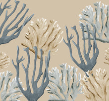 Load image into Gallery viewer, COASTAL CORAL
