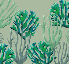 Load image into Gallery viewer, COASTAL CORAL