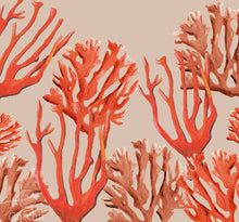Load image into Gallery viewer, COASTAL CORAL