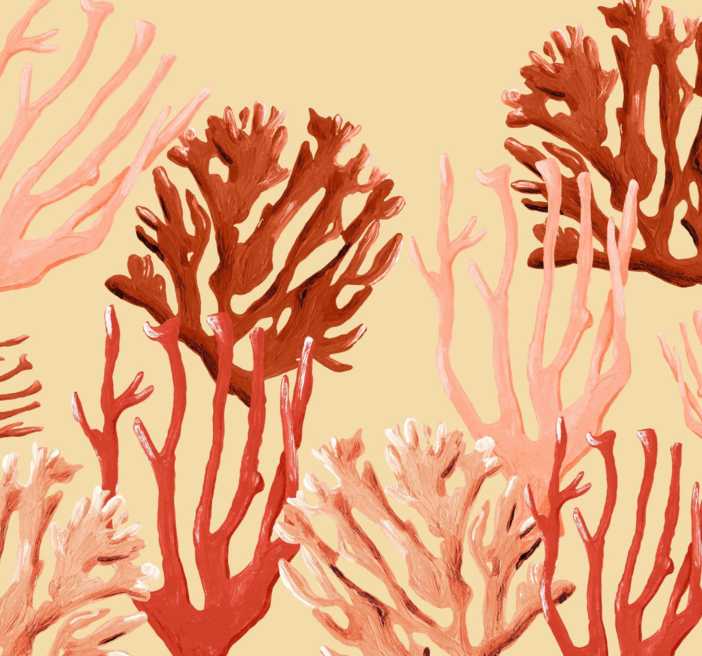 COASTAL CORAL