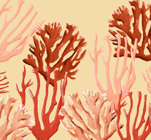 Load image into Gallery viewer, COASTAL CORAL