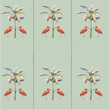 Load image into Gallery viewer, IBIS PALM BEACH