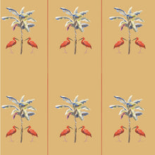 Load image into Gallery viewer, IBIS PALM BEACH
