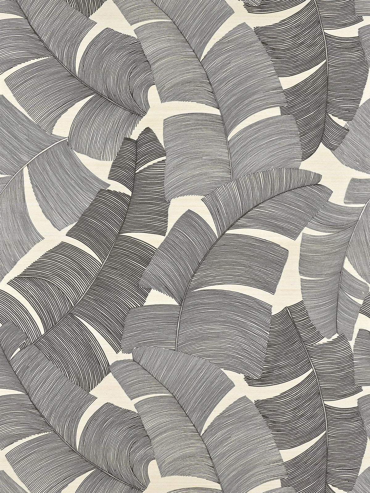 Tikehau wallpaper in Noir