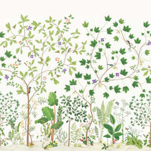 Load image into Gallery viewer, Sycamore &amp; Oak Wallpaper by Sanderson - Botanical Green