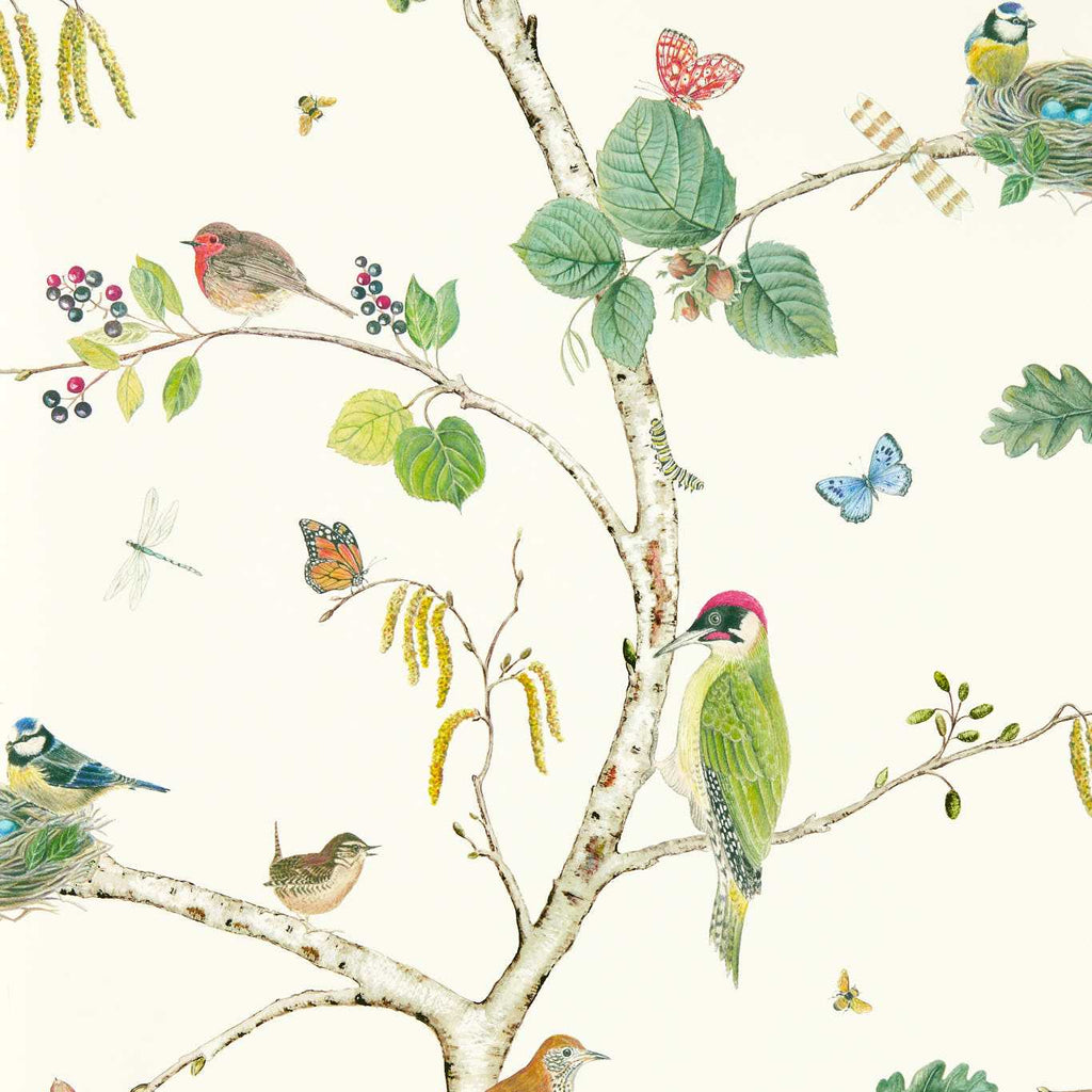 Woodland Chorus Wallpaper by Sanderson - Botanical/Multi