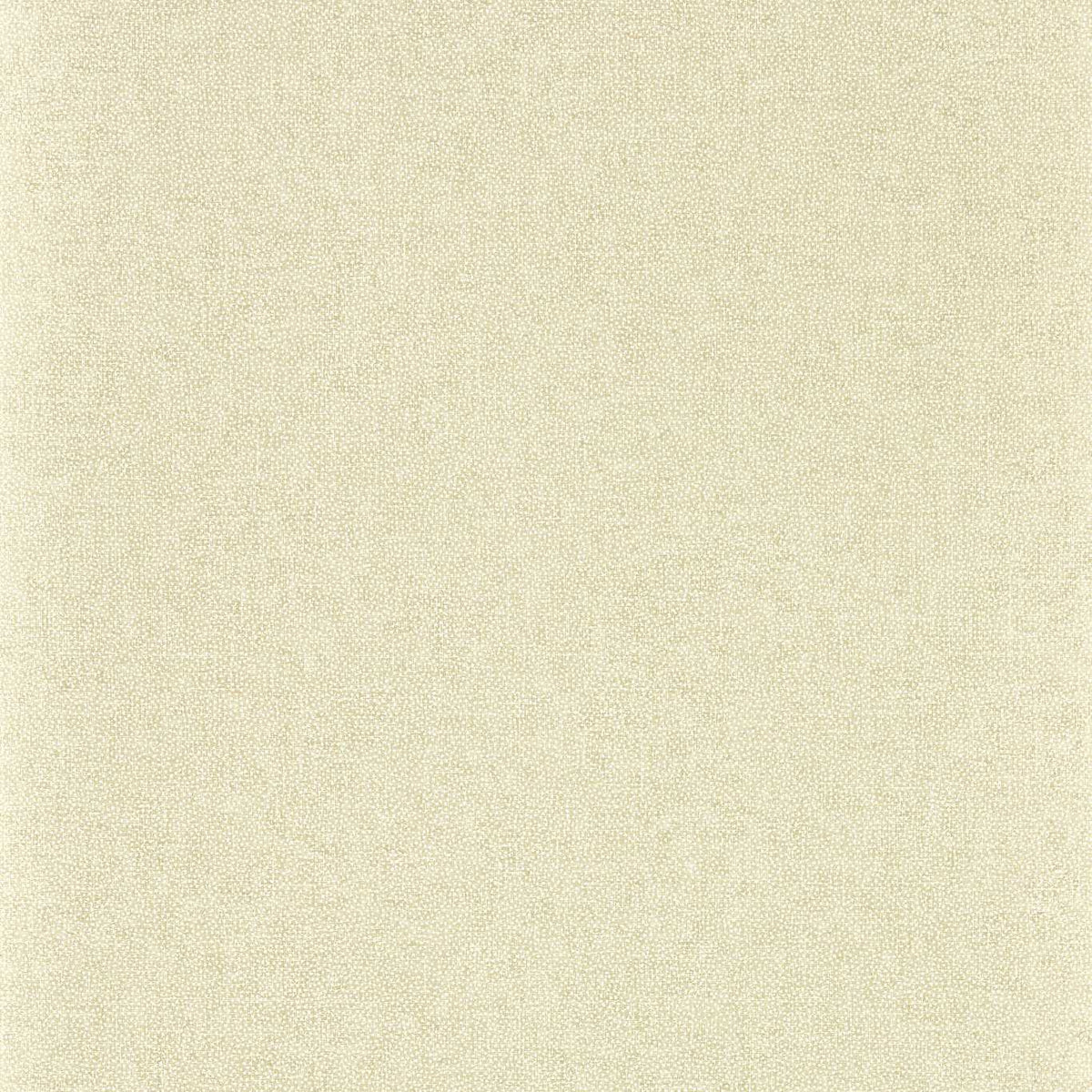 Sessile Plain Wallpaper by Sanderson - Birch/Multi