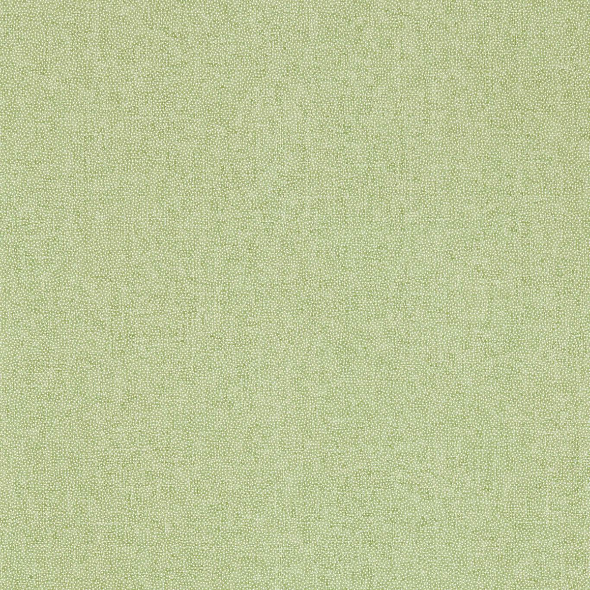 Sessile Plain Wallpaper by Sanderson - Moss Green