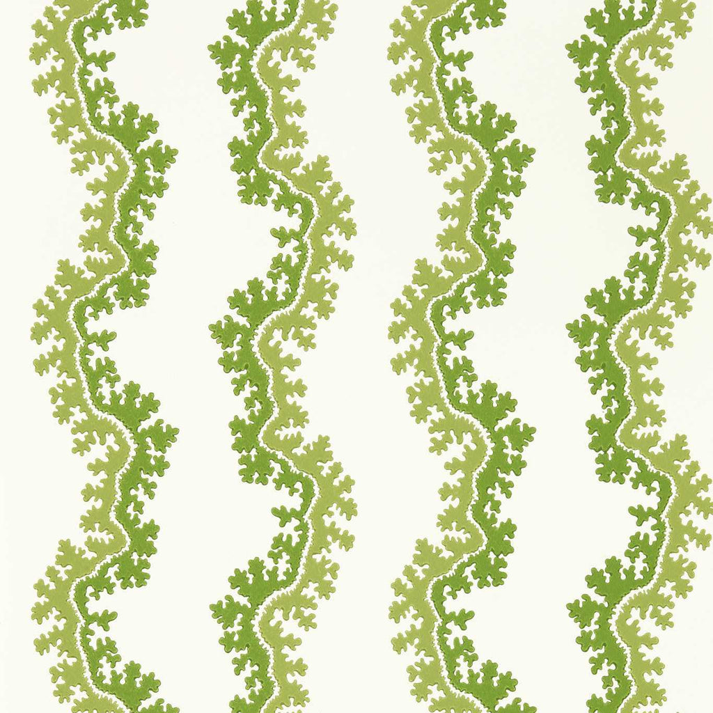 Oxbow Wallpaper by Sanderson - Sap Green