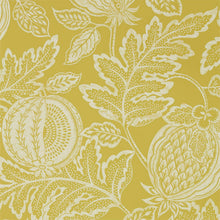 Load image into Gallery viewer, Cantaloupe Wallpaper by Sanderson - Caraway