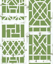 Load image into Gallery viewer, Bon Vivant Collection by Diane Bergeron - Briland Decorative Textile Wallpaper - Colourway: Moss - Swatch