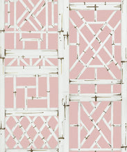 Load image into Gallery viewer, Bon Vivant Collection by Diane Bergeron - Briland Decorative Textile Wallpaper - Colourway: Pink - Swatch