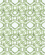 Load image into Gallery viewer, Bon Vivant Collection by Diane Bergeron - Mustique Decorative Textile Wallpaper - Colourway: Apple - Swatch