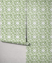 Load image into Gallery viewer, Bon Vivant Collection by Diane Bergeron - Mustique Decorative Textile Wallpaper - Colourway: Apple - Roll