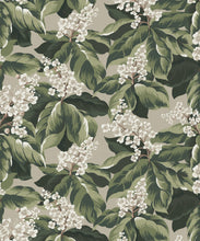 Load image into Gallery viewer, Horse Chestnut Wallpaper - Colorway: Forest - Fable Collection by M&amp;K Studios - Swatch