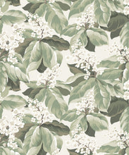 Load image into Gallery viewer, Horse Chestnut Wallpaper - Colorway: Sage - Fable Collection by M&amp;K Studios - Swatch