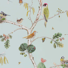 Load image into Gallery viewer, Woodland Chorus Wallpaper by Sanderson - Sky Blue/Multi