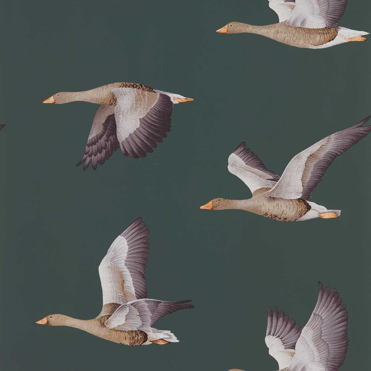 Elysian Geese Wallpaper by Sanderson - Amsterdam Green
