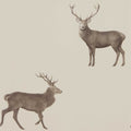 Evesham Deer Wallpaper by Sanderson - Birch