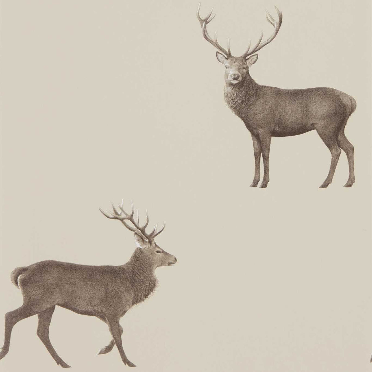 Evesham Deer Wallpaper by Sanderson - Birch