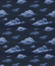 Load image into Gallery viewer, Heavenly Wallpaper • Night • Swatch