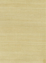 Load image into Gallery viewer, Metallic Sisal Grasscloth Wallpaper