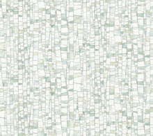 Load image into Gallery viewer, Kaleidoscopic