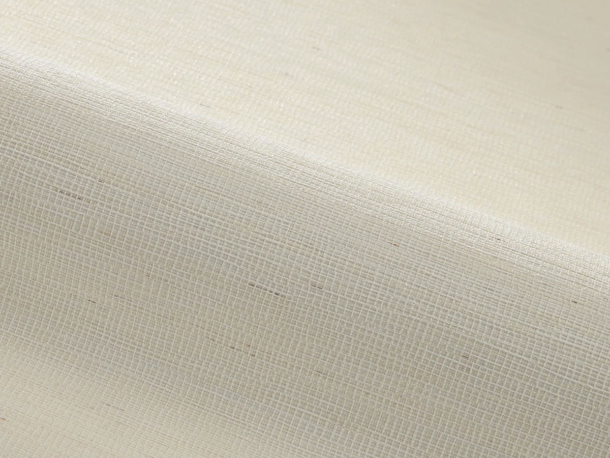 Nikki wallpaper in BLANC
