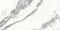 Piazza Marble Peel & Stick Floor Tiles