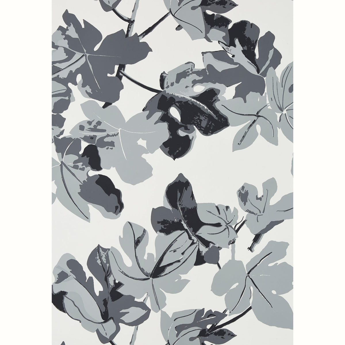 Fig Leaf Wallpaper by Peter Dunham - Original on White